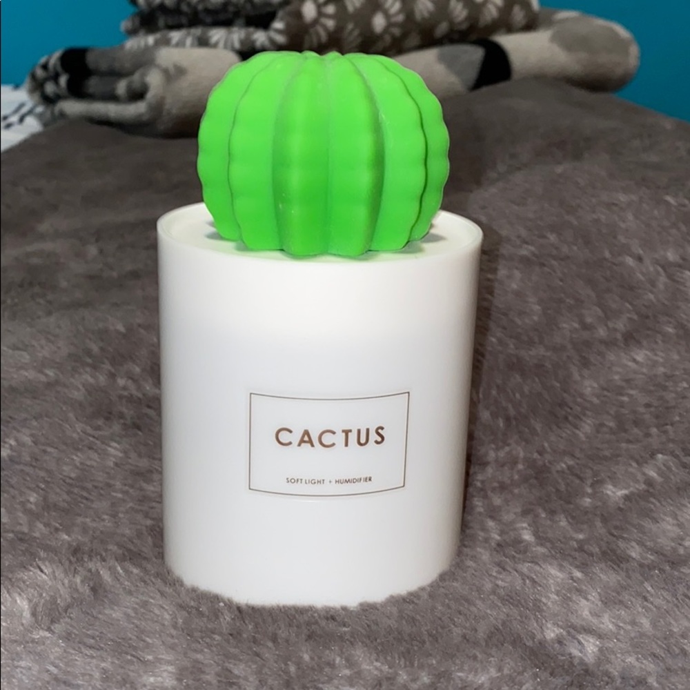 Cactus Humidifier